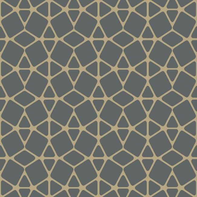 Sparkling Facet