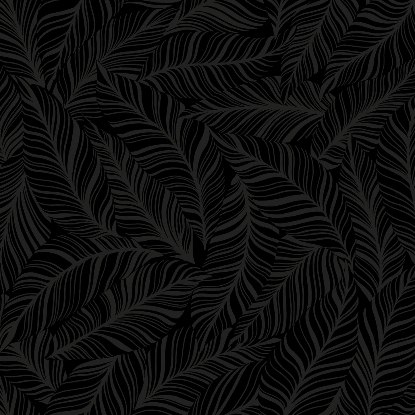 Rainforest Canopy