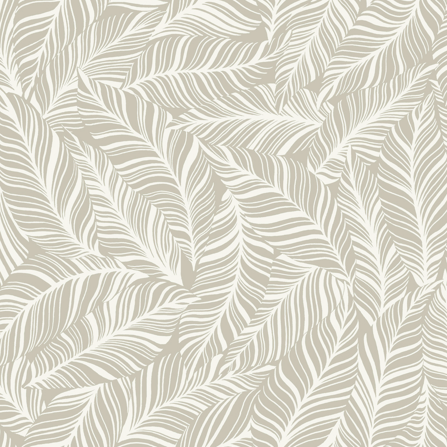 Rainforest Canopy