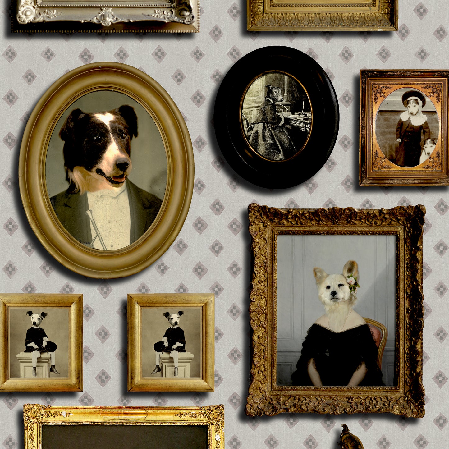 Top Dog