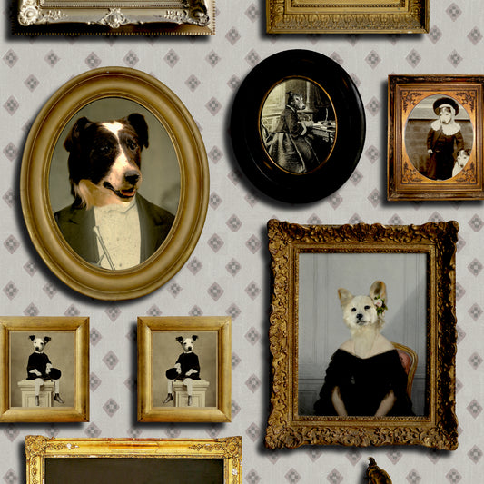 Top Dog
