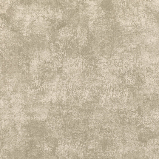Romo: Arriccio Lustre