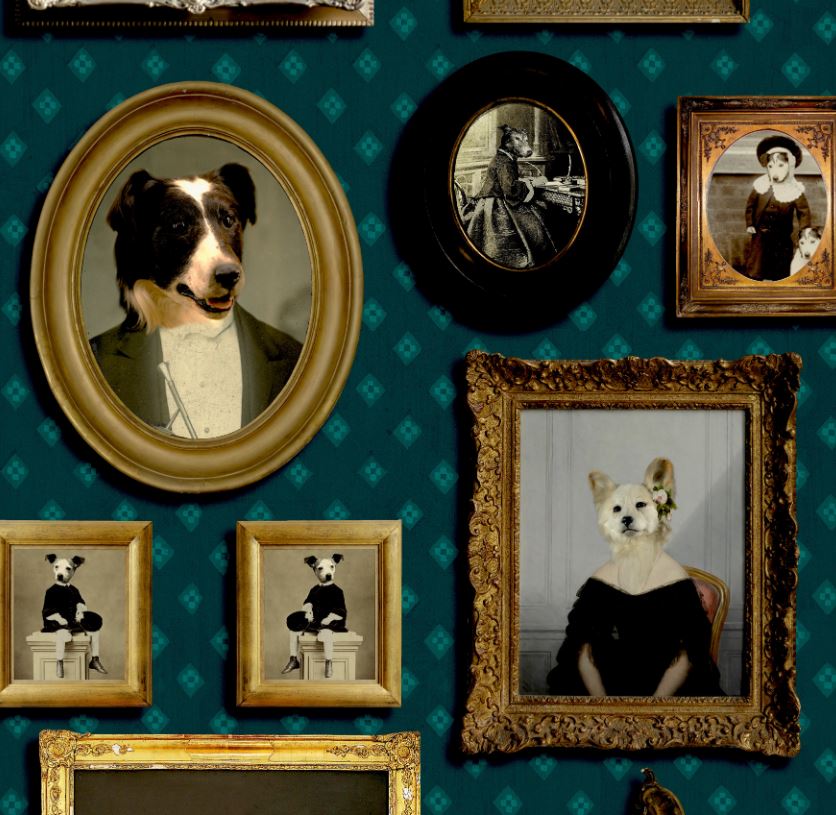 Top Dog